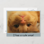 カツオの小さな鼻 ポストカード (正面/裏面)