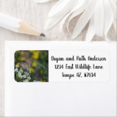 カツオ住所 シール (インサイチュ)