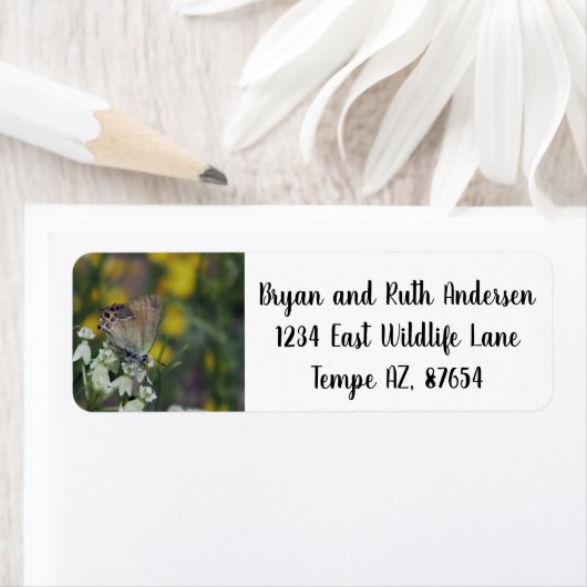 カツオ住所 シール (インサイチュ)