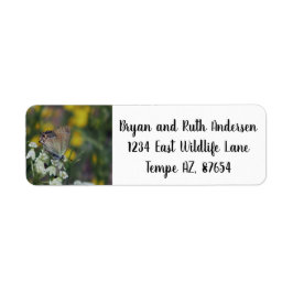 カツオ住所 シール