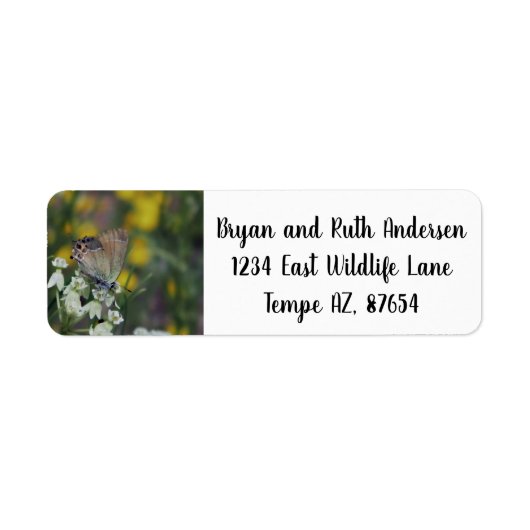 カツオ住所 シール (正面)