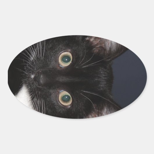 カツLOVEー 楕円形シール (正面)