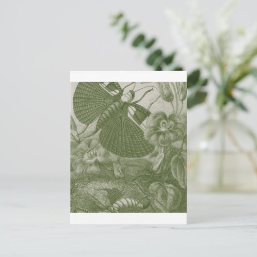 カティディズ ポストカード (スタンド正面)