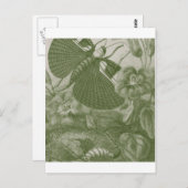 カティディズ ポストカード (正面/裏面)