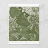 カティディズ ポストカード (正面)