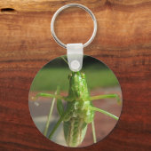 カティディド～キーチェーン キーホルダー (正面)