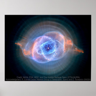 カテイネブル ポスター