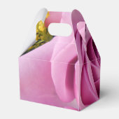 カテイン フェイバーボックス (裏面サイド)