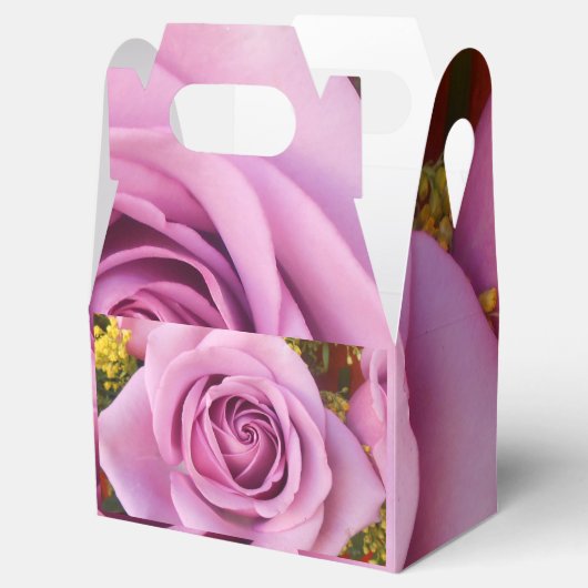 カテイン フェイバーボックス (オープン)