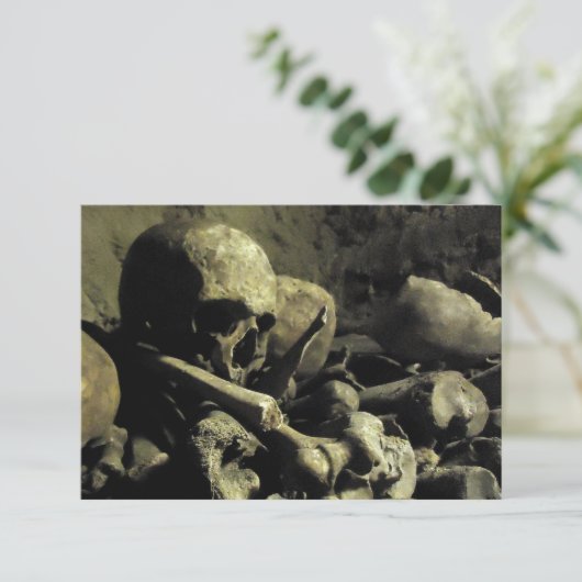 カテコームの骨 招待状 (スタンド正面)