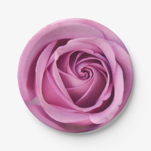 カテジネ ペーパープレート (正面)