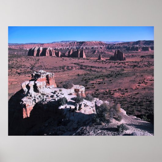 カテドラルバレー ポスター (正面)