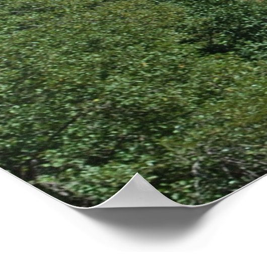 カテドラルロック601 ポスター (角)