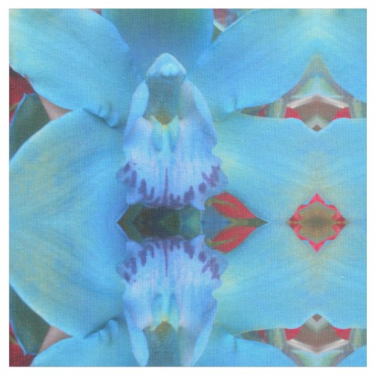 カテリン ファブリック (クローズアップ)