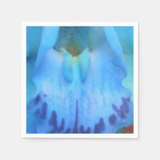 カテリーヌ スタンダードカクテルナプキン (正面)