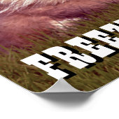 カディシャック | Freeze, Gopher! ポスター (角)