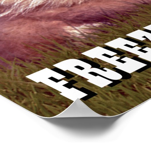 カディシャック | Freeze, Gopher! ポスター (角)