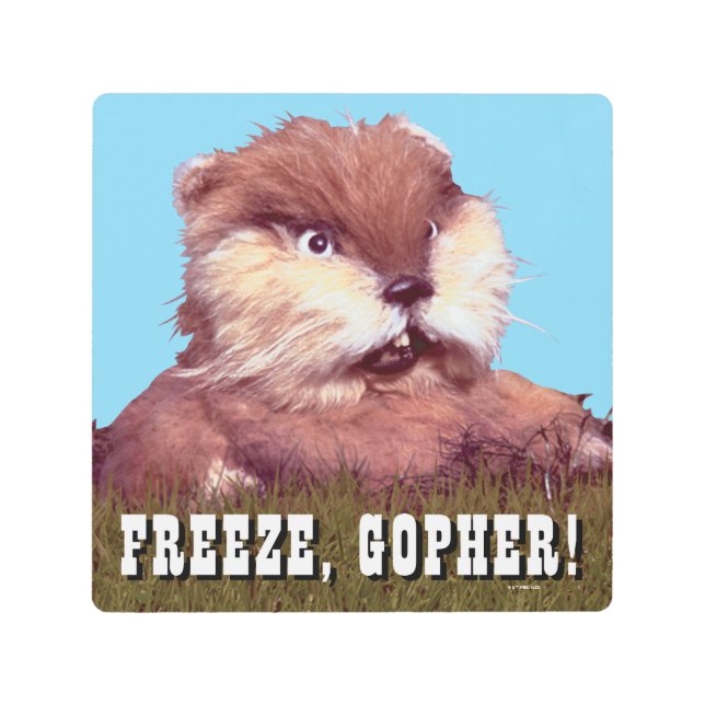 カディシャック | Freeze, Gopher! メタルプリント (正面)