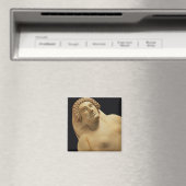 カディス5-4世のメスの石棺の詳細 マグネット (インサイチュ (食洗機))