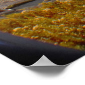 カディラックマウンテンアカディア国立公園 ポスター (角)