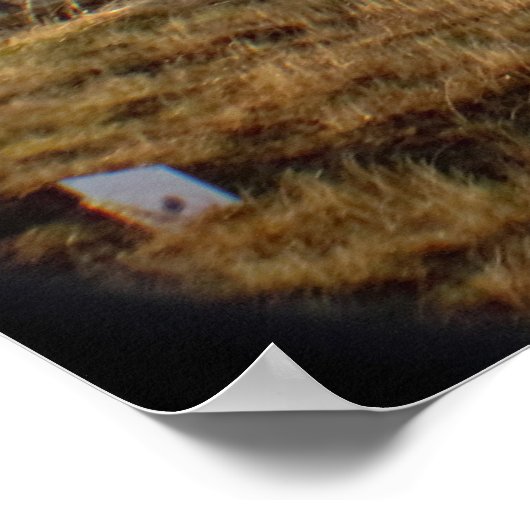 カディラックマウンテンアカディア国立公園 ポスター (角)