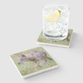 カデス・コーブ、コヨーテのフィールド ストーンコースター (横)