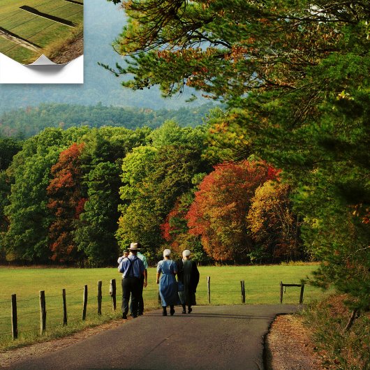 カデズコーブアミッシュ ポスター