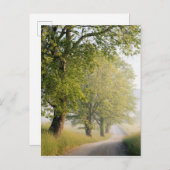 カデズコーブ |スモーク素晴らしキー山脈(TN) ポストカード (正面/裏面)