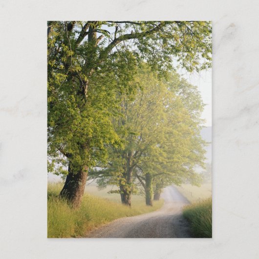 カデズコーブ |スモーク素晴らしキー山脈(TN) ポストカード (正面)