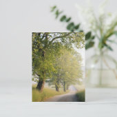 カデズコーブ |スモーク素晴らしキー山脈(TN) ポストカード (スタンド正面)