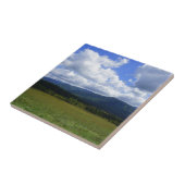 カデズコーブ タイル (側面)