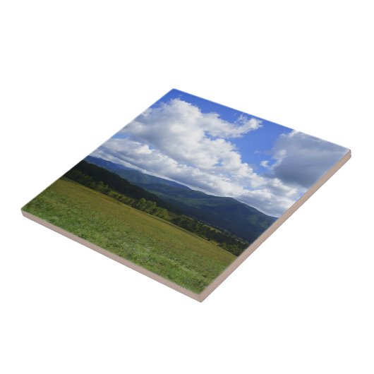 カデズコーブ タイル (側面)