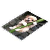 カデルノエスピラルゲヨク개죽이 ノートブック (左側)