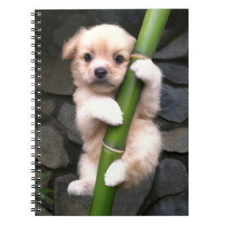 カデルノエスピラルゲヨク개죽이 ノートブック