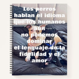 カデロ ノートブック