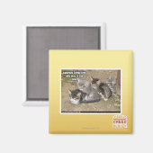 カトゥルデイコンガライン マグネット (正面/裏面)