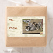 カトゥルデイコンガライン ラベル (インサイチュ)