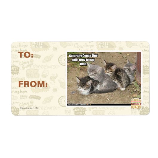 カトゥルデイコンガライン ラベル (正面)