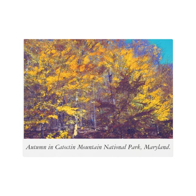 カトクチン山国立公園の秋 メタルプリント (正面)