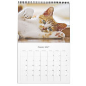 カトシェンカツェンウェルペン – Kalender カレンダー (1月 2027)
