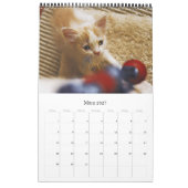 カトシェンカツェンウェルペン – Kalender カレンダー (3月 2027)