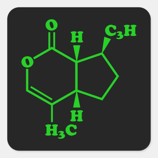 カトニップnepetalacton分子化学式 スクエアシール (正面)