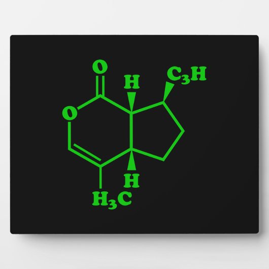 カトニップnepetalacton分子化学式 フォトプラーク (正面)