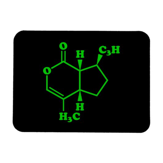 カトニップnepetalacton分子化学式 マグネット (横)