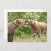カトマイ国立公園で戦う二頭のクマ ポストカード (正面/裏面)