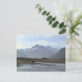 カトマイ・ブラウン・ベア ポストカード (スタンド正面)