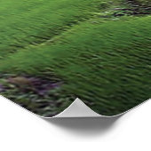 カトマンズリバーライステレス ポスター (角)