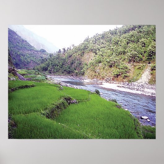 カトマンズリバーライステレス ポスター (正面)