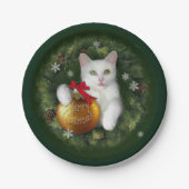 カトメリーマス ペーパープレート (正面)