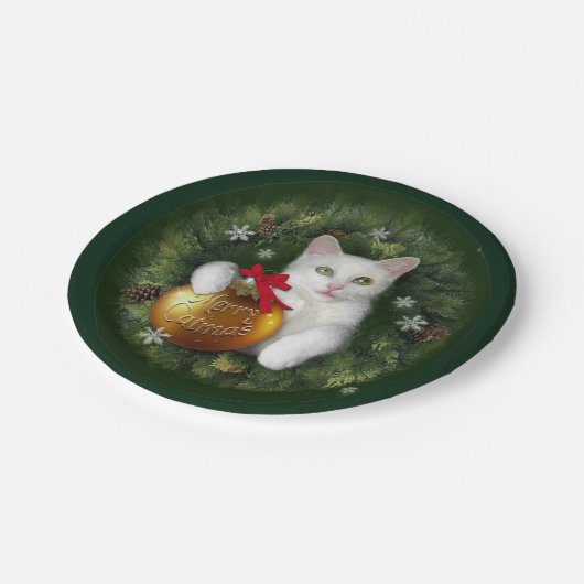 カトメリーマス ペーパープレート (アングル)